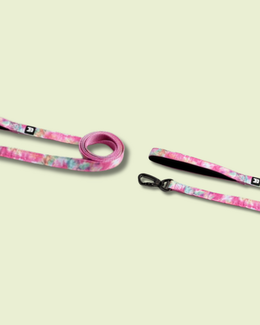 Pawsh Pink Leash