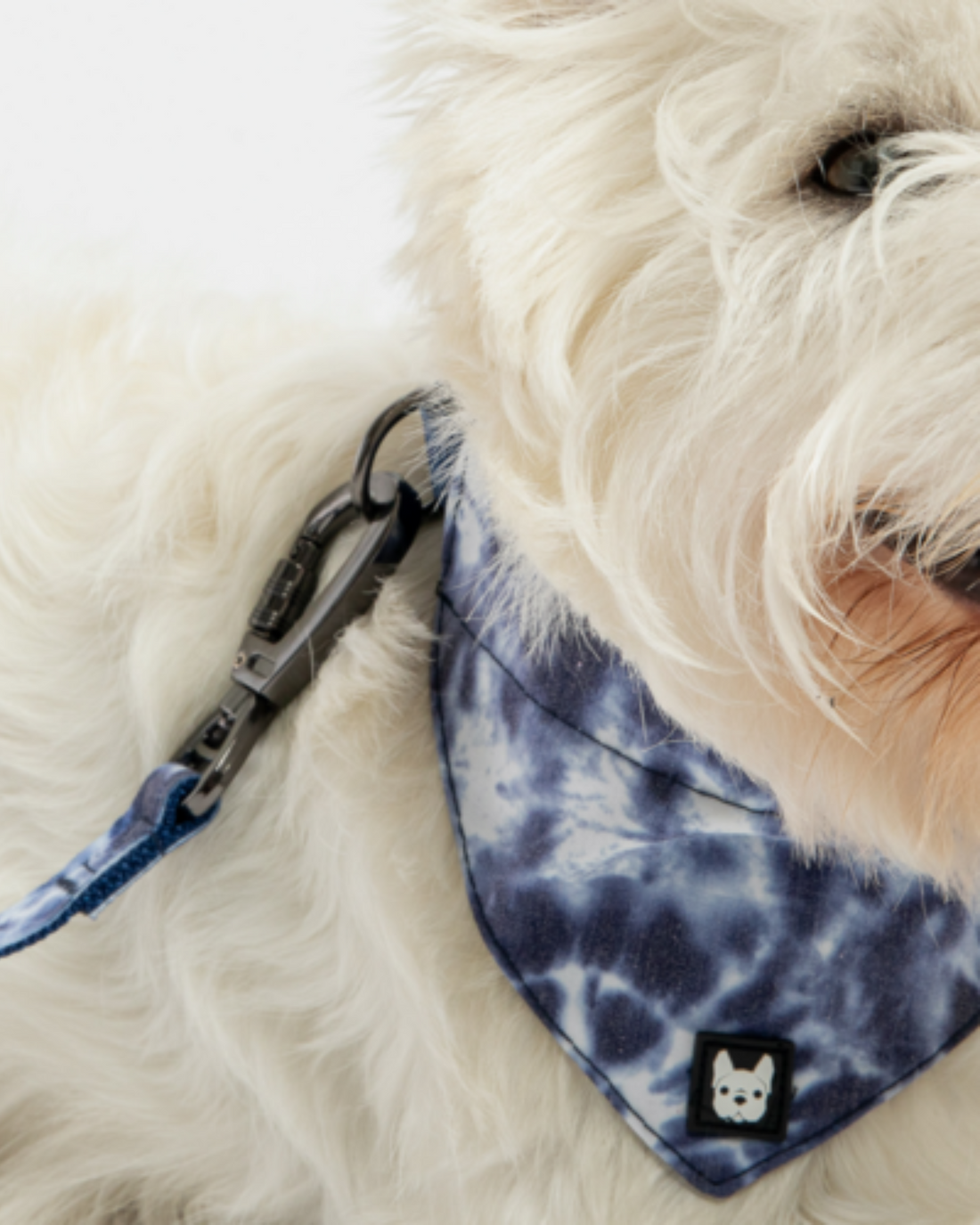 Cloudy blue Bandana