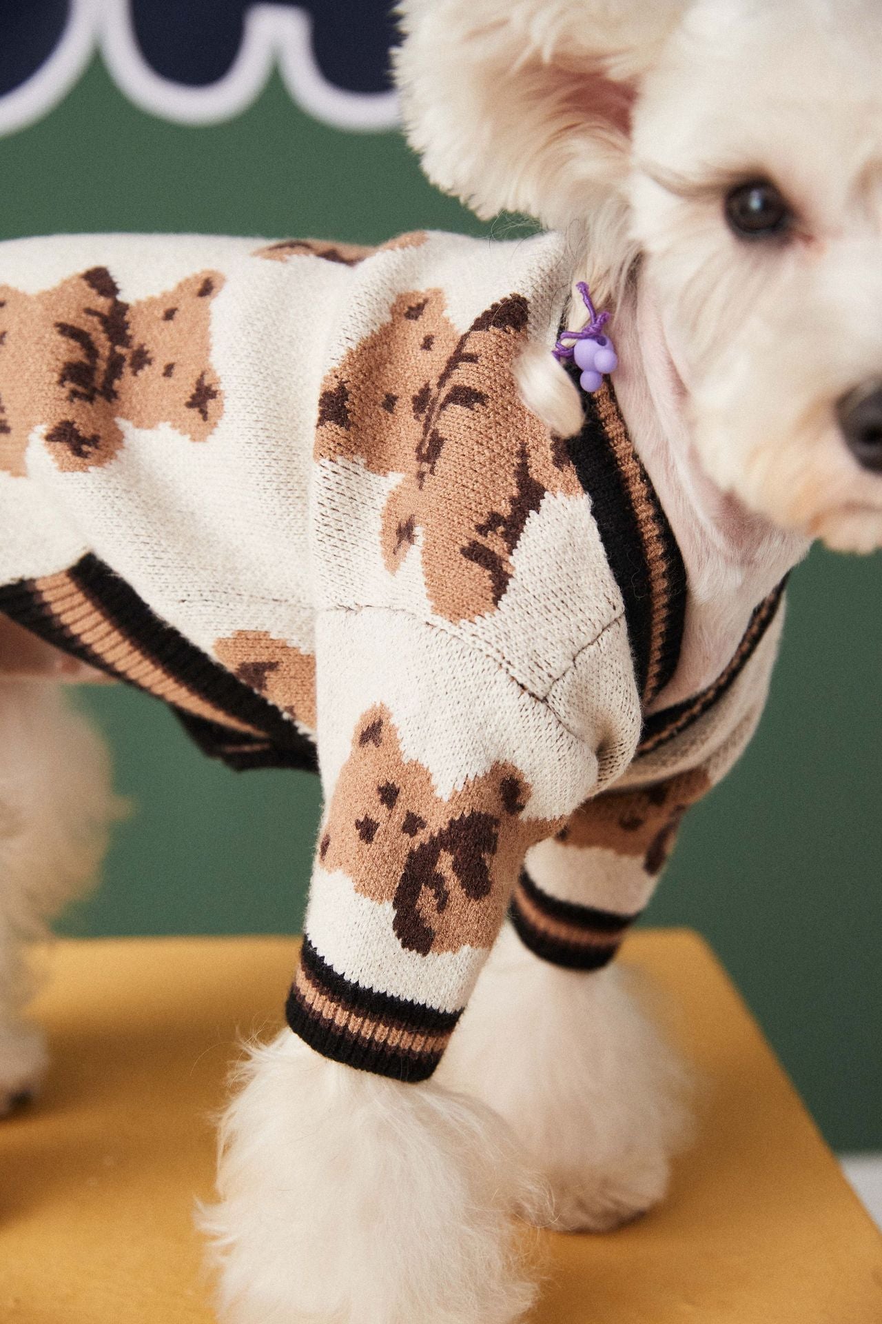 PawBear Cardigan